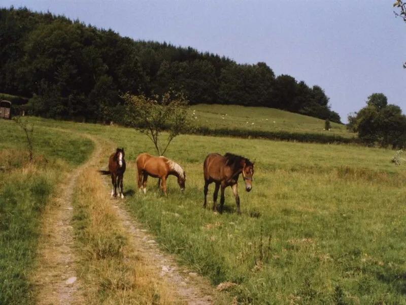 Welshpool